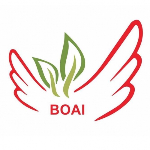 ბოაი