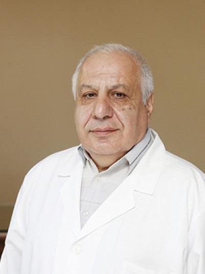 ვლადიმერ სულხანიშვილი
